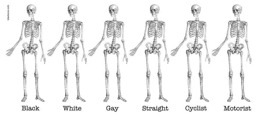 oh my god twitter doesn’t include alt text from images in their API