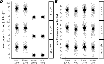 [Fig. 3D-E](https://journals.plos.org/ploscompbiol/article?id=10.1371/journal.pcbi.1007972#pcbi-1007972-g003): Frequency at which CTLs form new conjugates (D) and mean number of simultaneously contacted targets per CTL (E) for low- and high-motility CTLs. Plots are based on 100 simulations per condition, with each dot representing one CTL, and circles and error bars indicating mean +/- SD. ([CC BY 4.0](https://creativecommons.org/licenses/by/4.0/): [**Beck *et al.***](#reference))