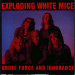 Brute Force And Ignorance.gif 16.443 K