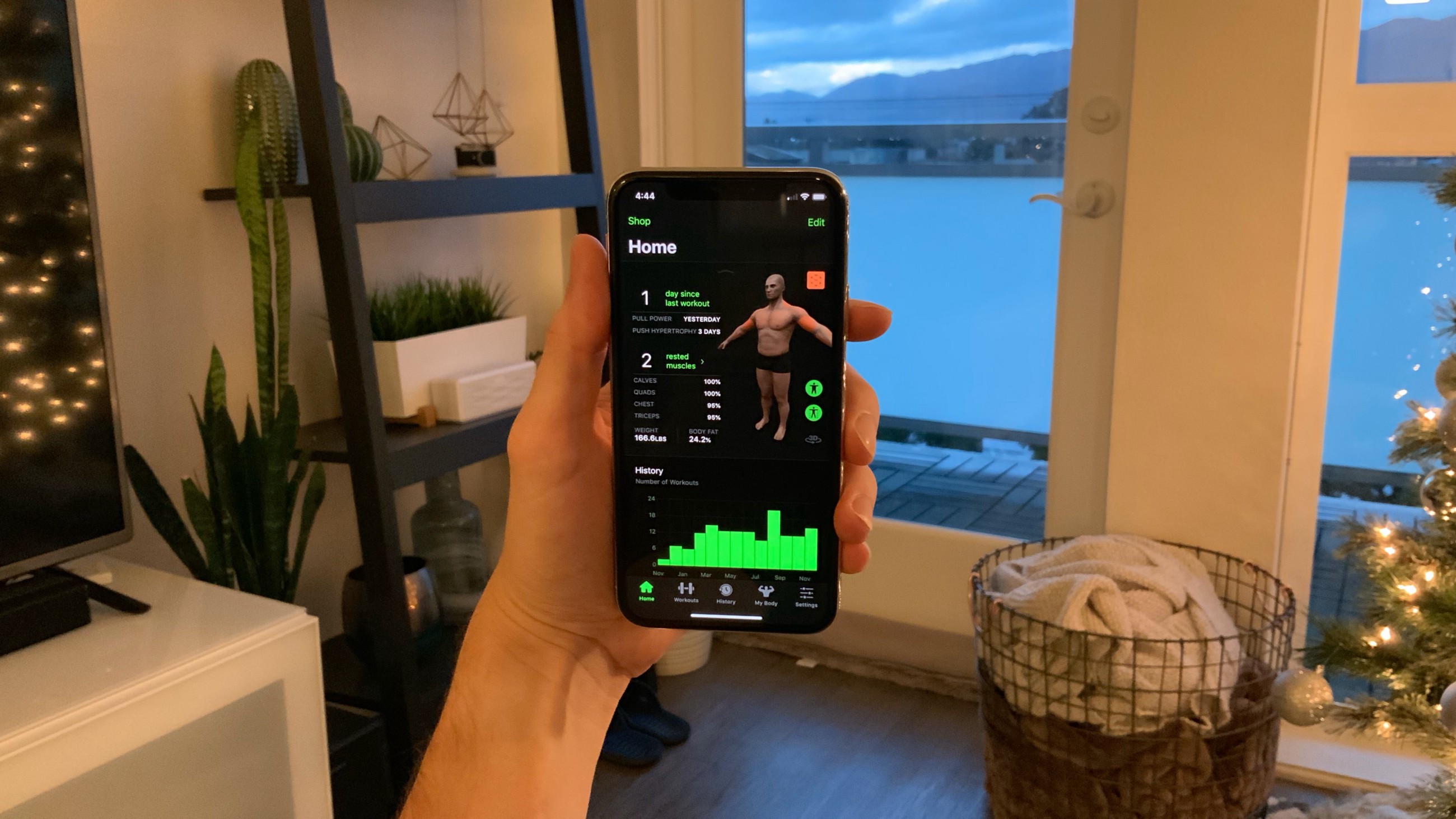 gymaholic review