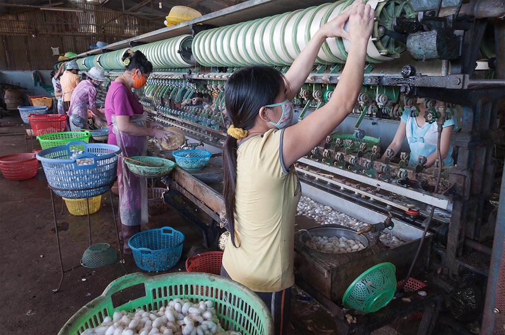 Inside a sericulture factory