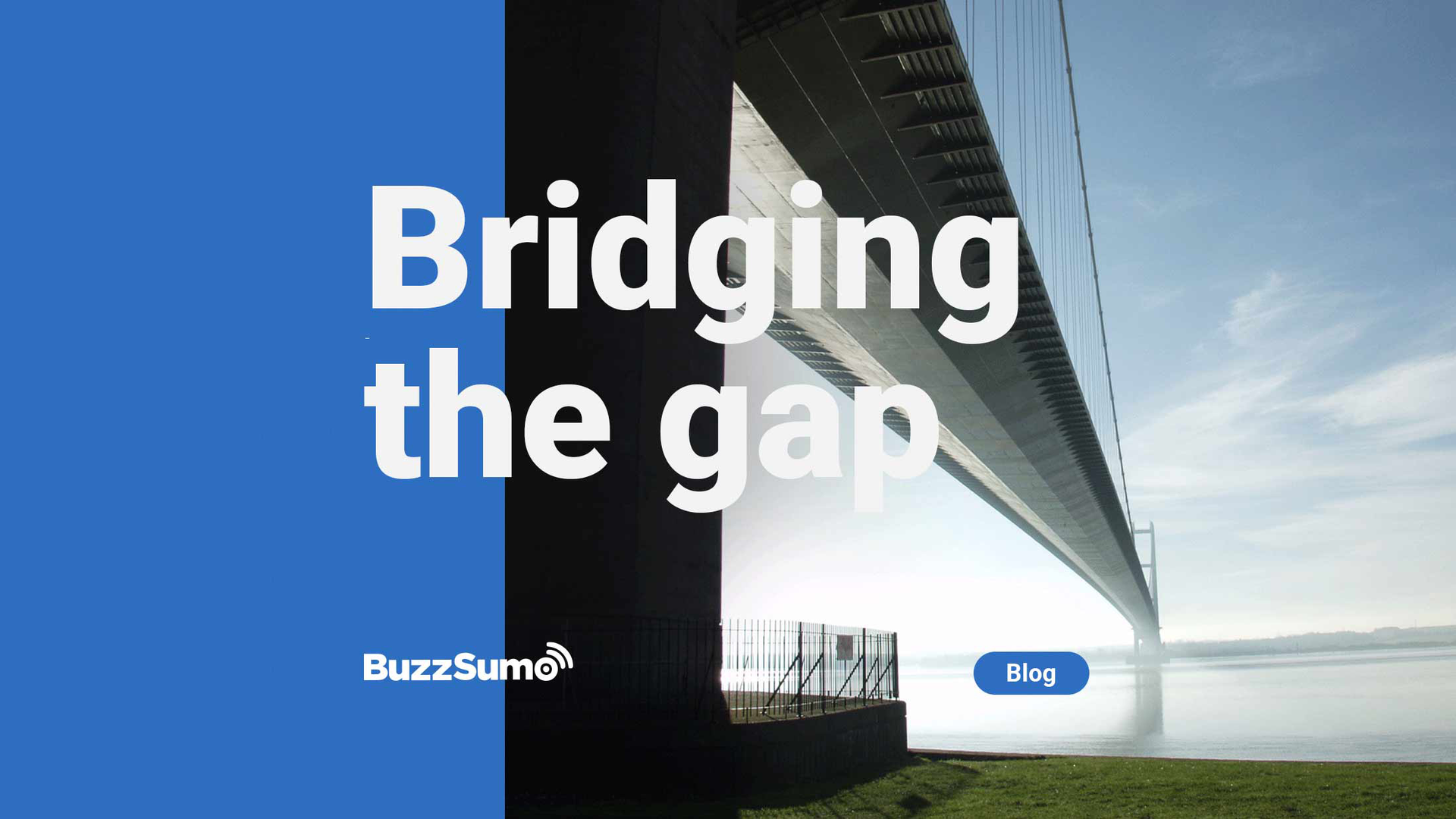 Buzzsumo images