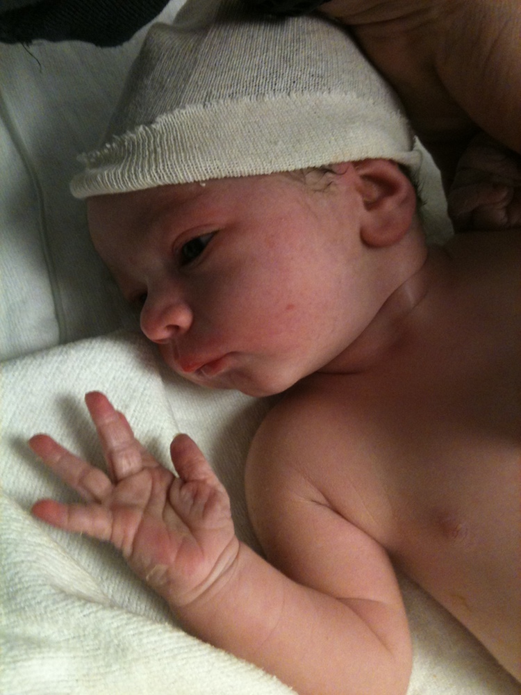 Taos ryan toscano leary