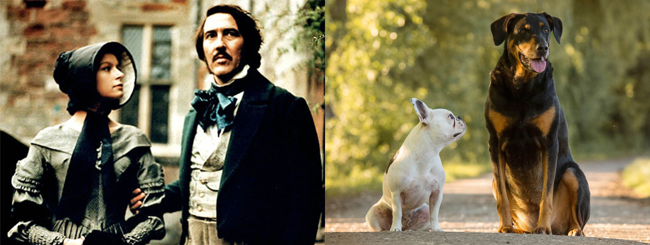 movie image of jane eyre and edward rochester with dogs that look like them