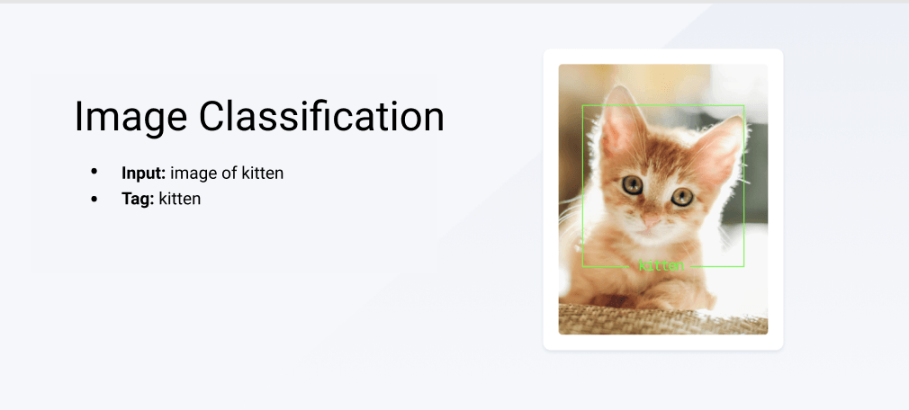 Showing how a kitten image is labeled, so a machine learning model can recognize other kitten images and label them correctly.