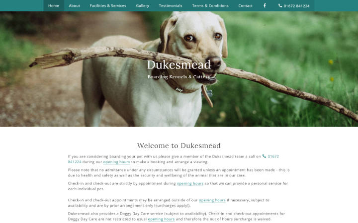 Dukesmead Boarding Kennels & Cattery website frontpage