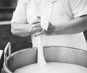 Diversi catering, caratterizzati da ricercatezza, trasversalità e attenzione alle esigenze – FaberJour