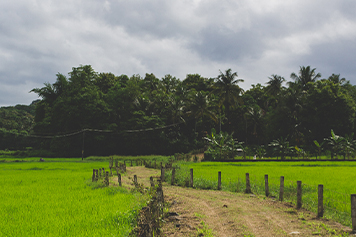 Chandargaon
                                                Valley