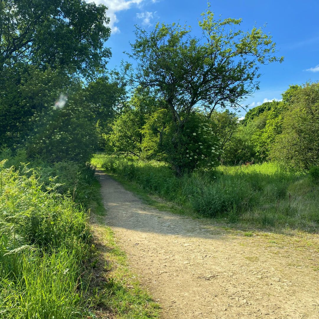 Breary Marsh Discover Leeds