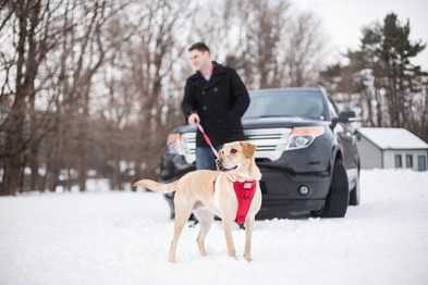 Essential Winter Gear for Dog Travel