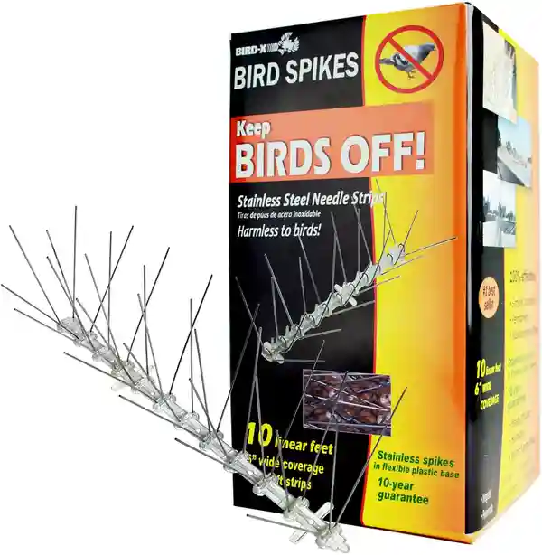 Bird x bird spikes