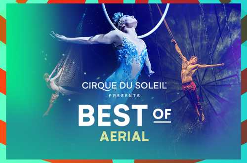 Best of Aerial - Cirque Connect