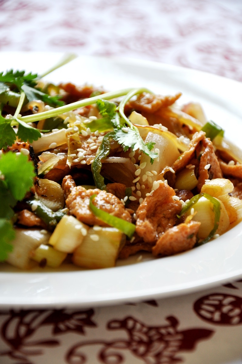 Soy Protein Stir-fry with Leek and Onion