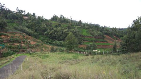 Overview of Plot 18