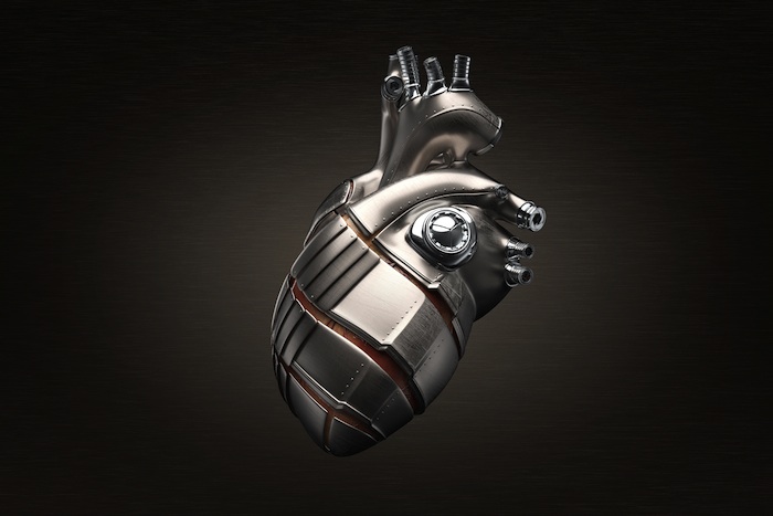 the human heart, set of lungs, and brain are encased in sleek metal armor, somewhere between jewelry and mechanical parts for machinery. They conform to the shapes of the organs precisely, showing their enigmatic structures, isolating their particular functions.