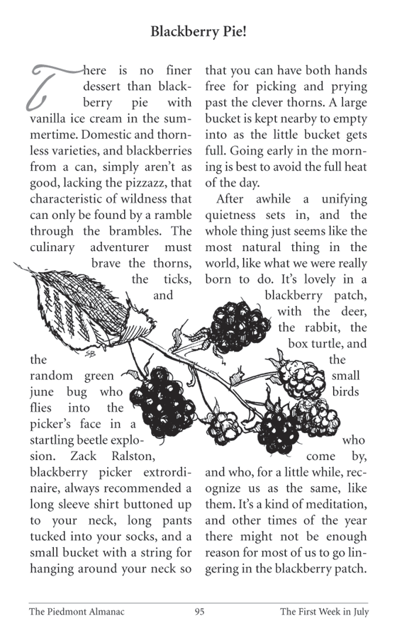 Blackberry Pie! Drawing of blackberries and essay on picking blackberries
