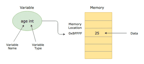 variables golang inference categorize