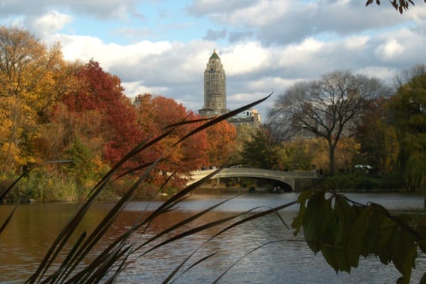 Central Park, New York City