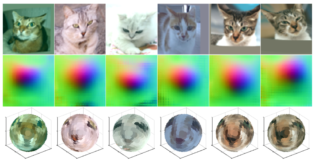 Cats fed into an autoencoder
