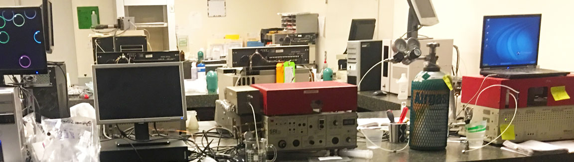 Sample Analysis by Gas Chromatography