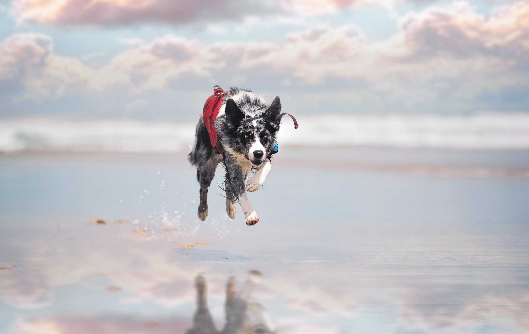 Agility: Building Your Foundation