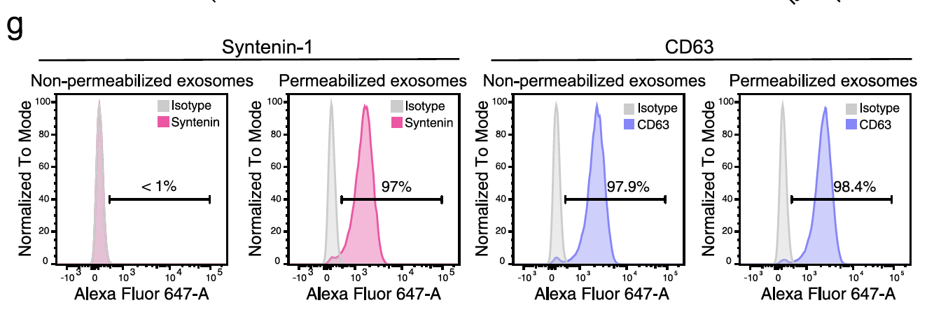 Syntenin-1 in permeabilized EVs and non-permeablized EVs as compared to CD63