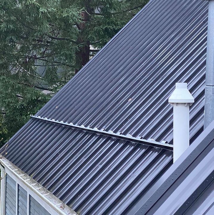 gutter guards for snow
