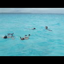 Belize Sharks 4