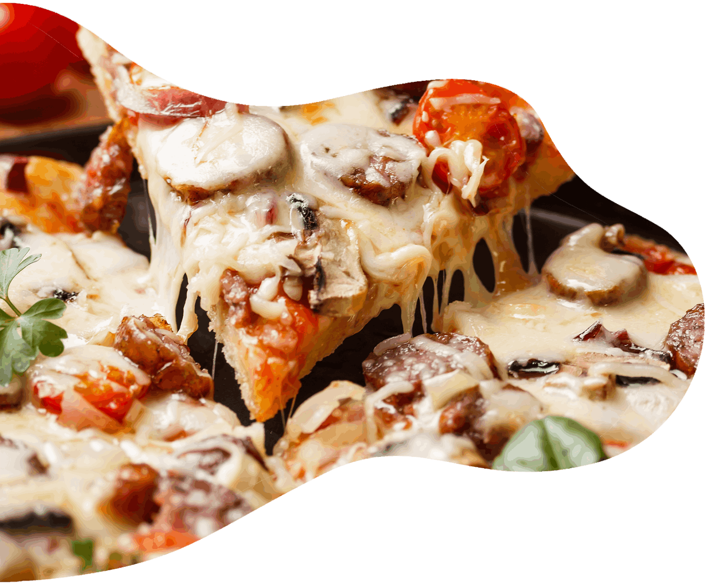 Wood Fired PizzaPie Best Pizza Places Near You Order Pizza, Burger