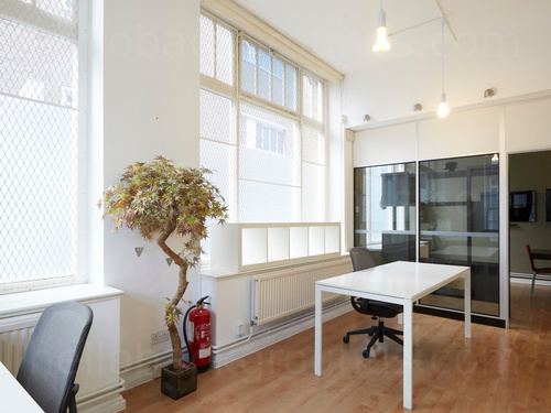 Compact office workspace containing white desks and black chairs next to small indoor tree with glass walled room behind   Skype background