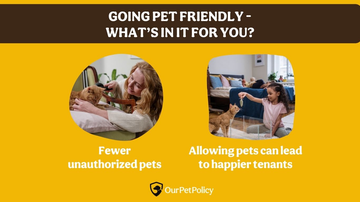 Why to go pet friendly