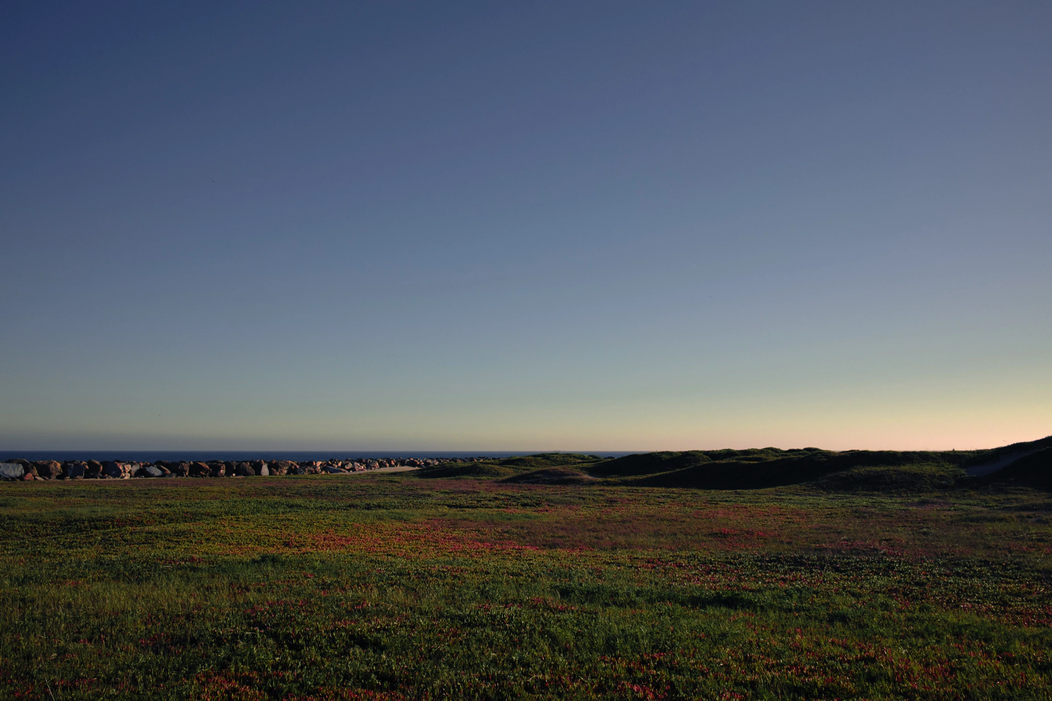 A grassy field with the sea in the horizon. A hint of red flowers in the middle.