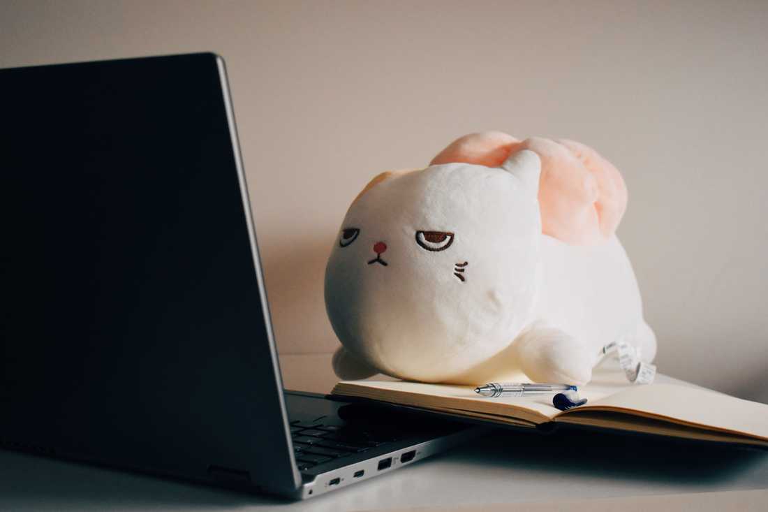 white rabbit plush beside macbook photo