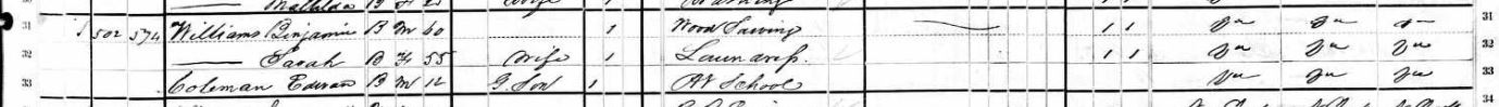1880 Census entry showing Williams Family
