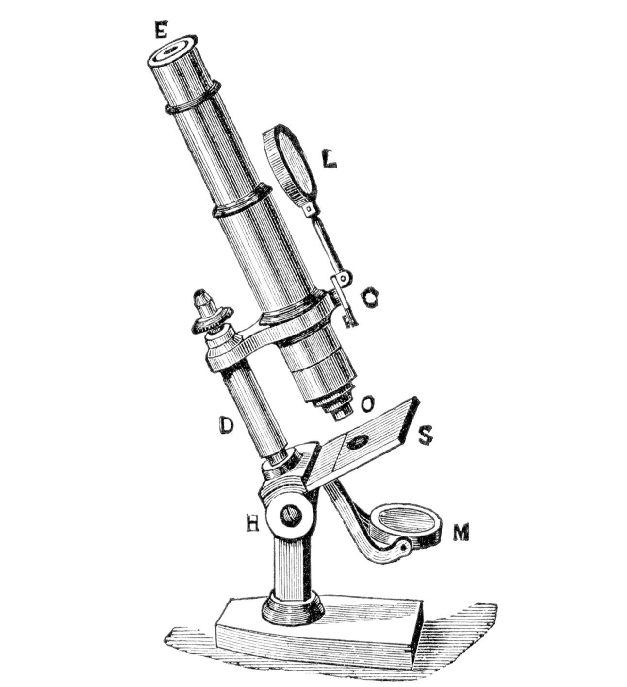 A microscope