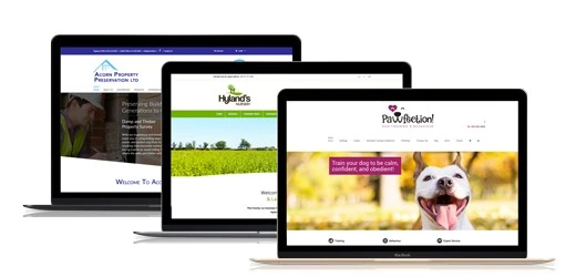 Website Design January 2017 Website Design January 2017