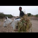 Sudan Nile Walk 25