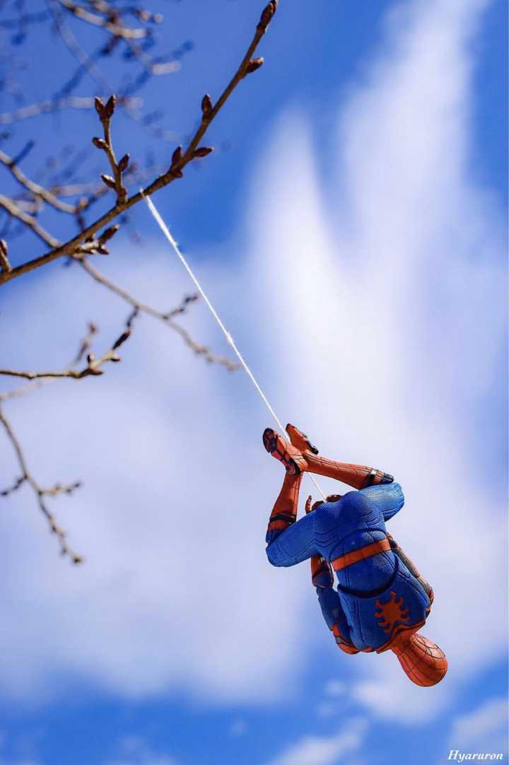 Six Inch Figure Collections Weekly Update 11