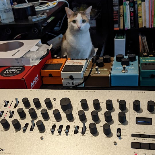 a photo of a cat staring blankly at the camera, sitting behind a synthesizer and several guitar pedals