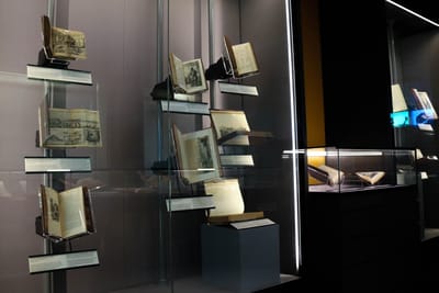 Photo of a wall showcase. Several open books are mounted to the wall, featuring black and white illustrations.
