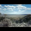 Outback views WA