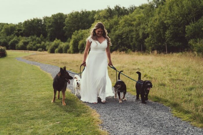 Person walking four dogs on leads