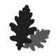 OakLeaves