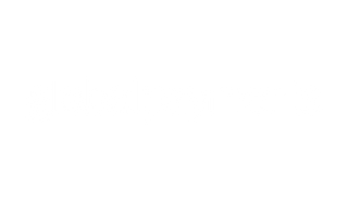 profitroom-partners-logo-global-payments
