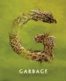 Strange little birds by Garbage