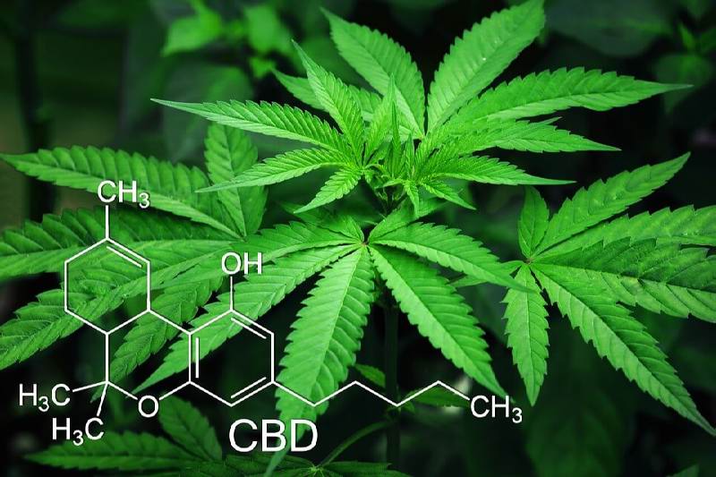 Medicinal Cannabis CBD Chemical Compounds
