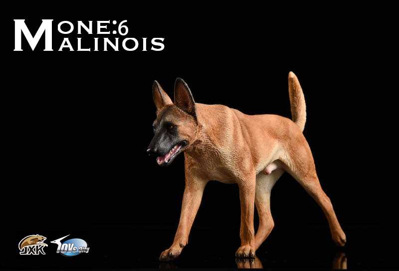 Belgian Malinois With John Wick