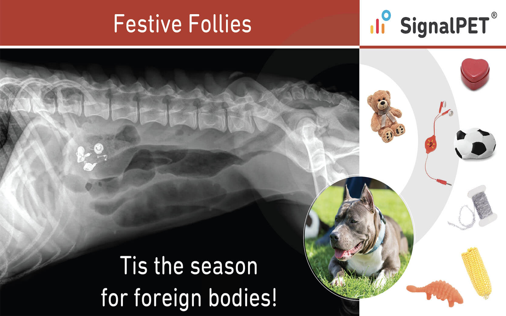 festive_follies_blog