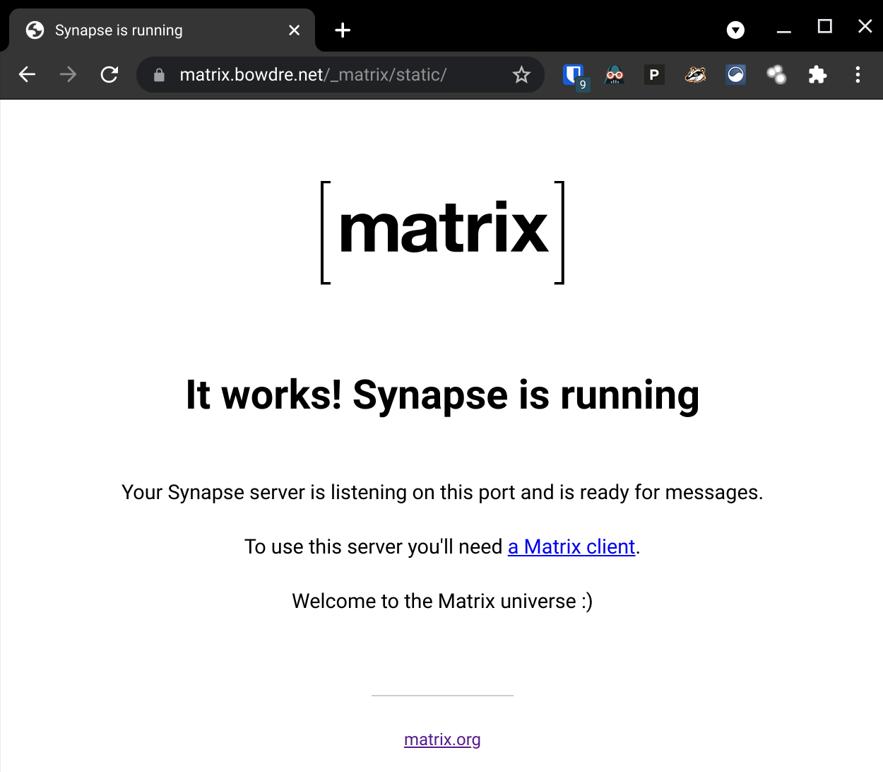 Synapse is running!