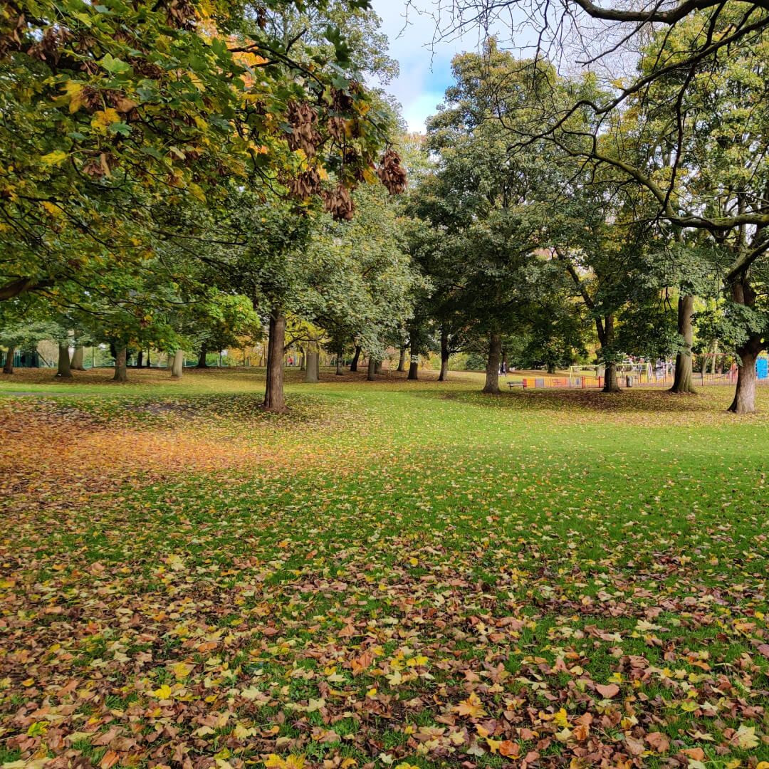 Burley Park Discover Leeds